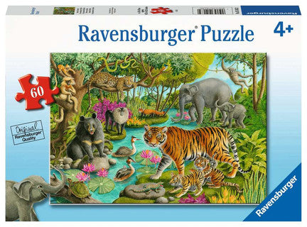 Animals Of India 60 Piece Jigsaw Puzzle
