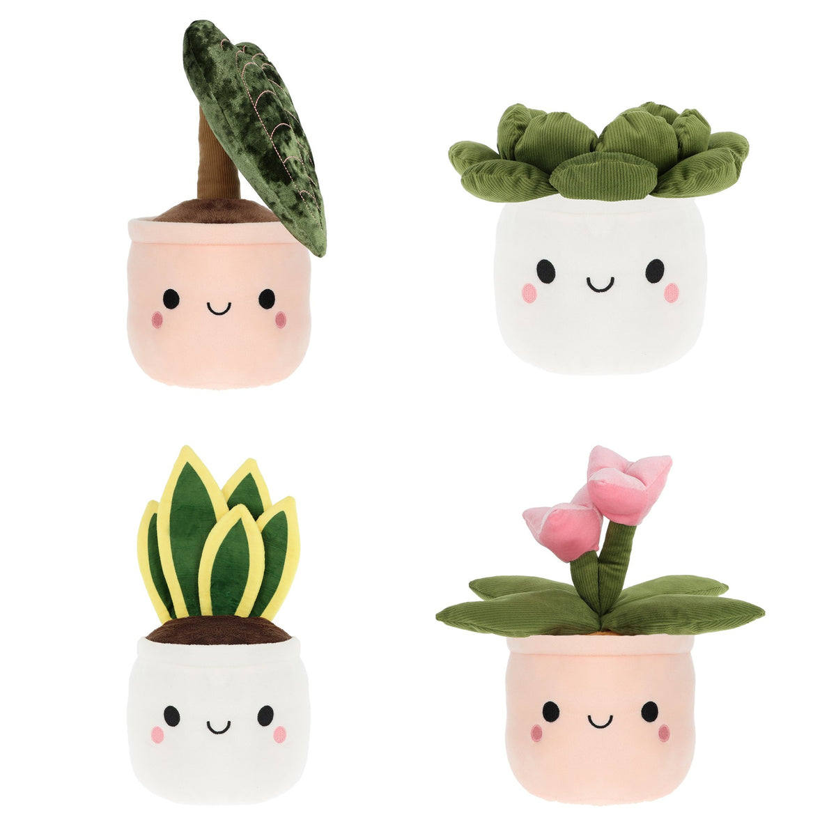 Plant Bobballs Assorted 30cm