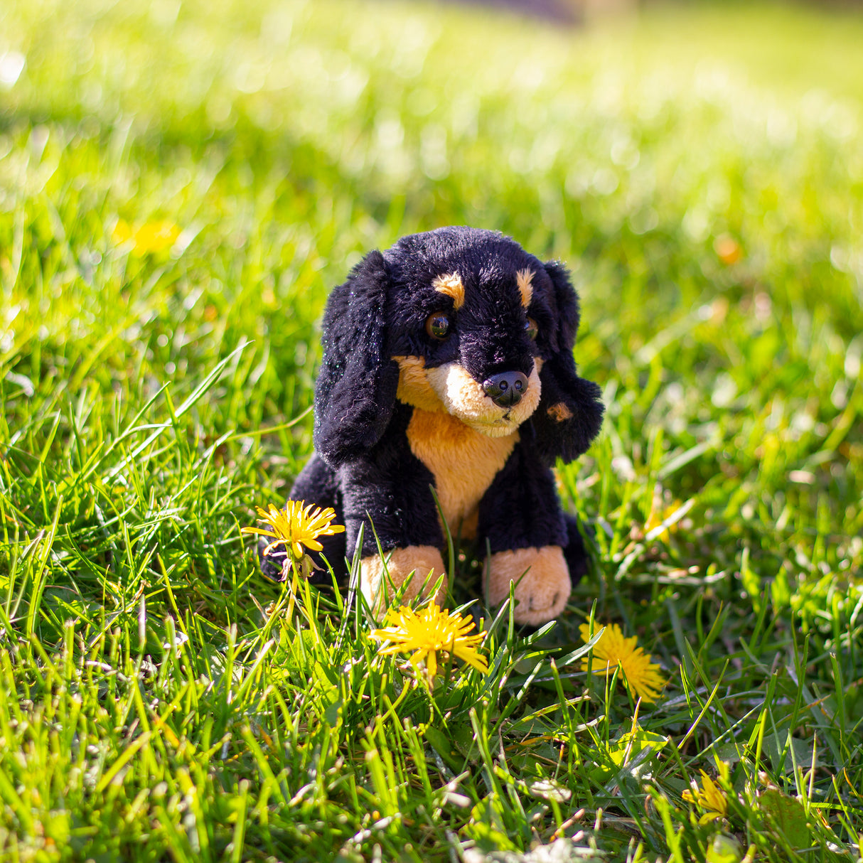 Animigos Mini Dachshund Puppy