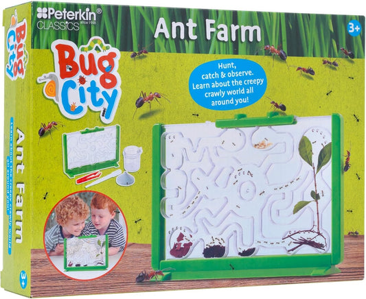 Bug City Ant Farm