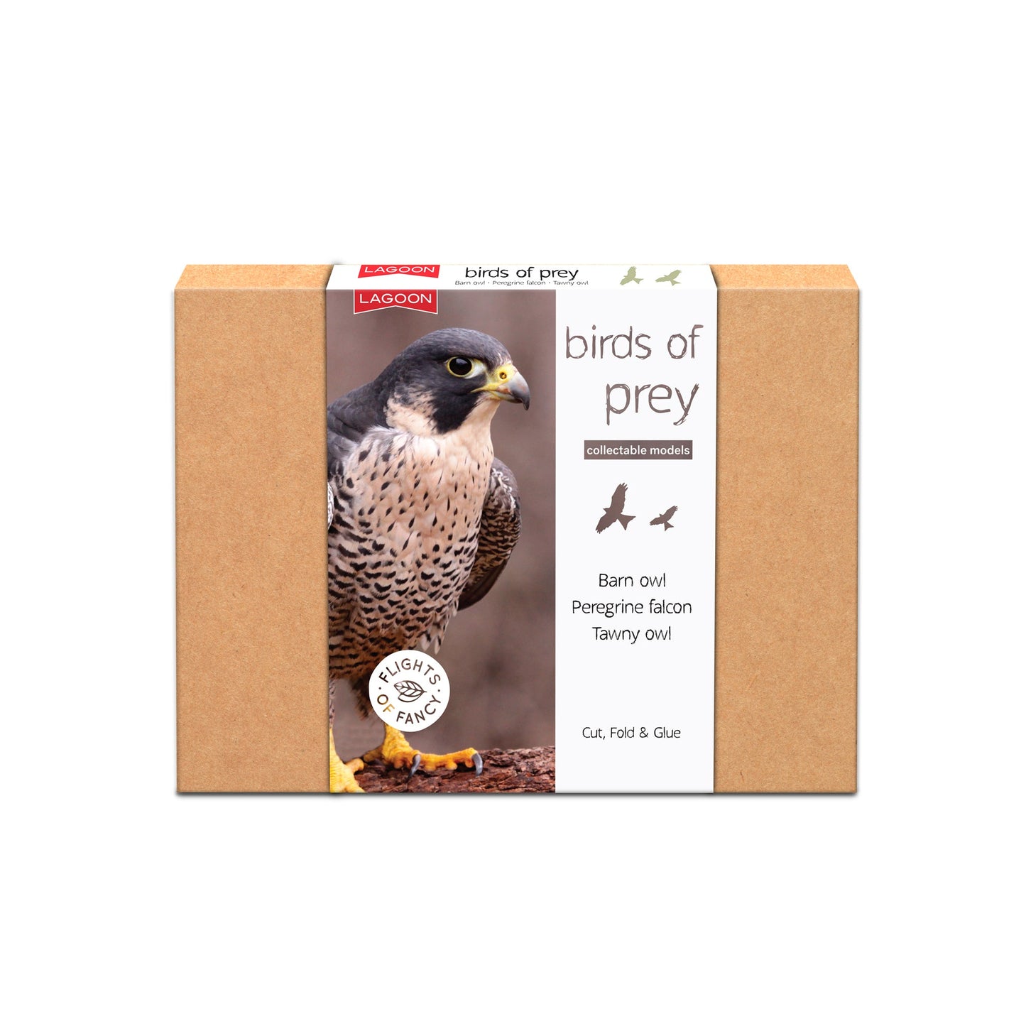 Collectible Models Bird Assorted
