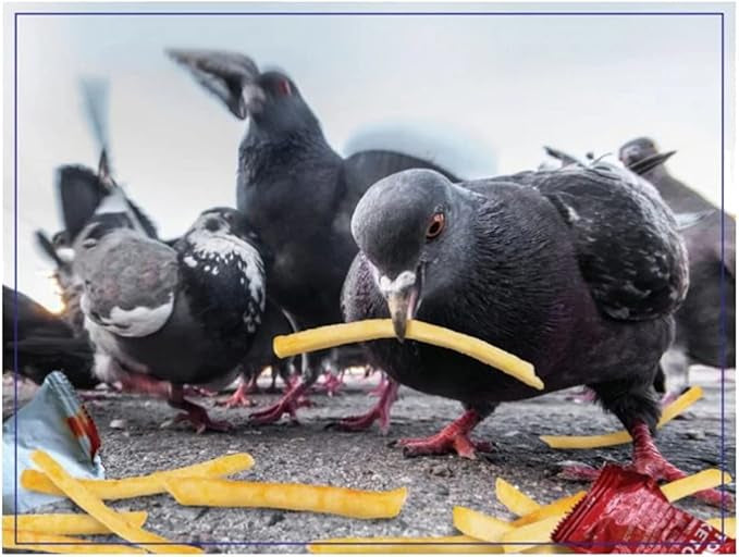 Doing things Birds Prank Jigsaw Puzzle