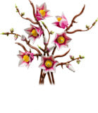 LEGO 11510 Botanicals Magnolia Branches