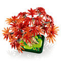 LEGO 10348 Botanicals Japanese Red Maple Bonsai