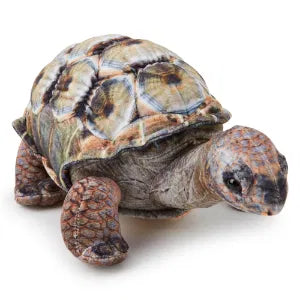 Aldabra Tortise 30cm Plush