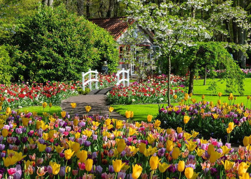 Ravensburger Keukenhof Gardens, Netherlands 1000 Piece Jigsaw Puzzle