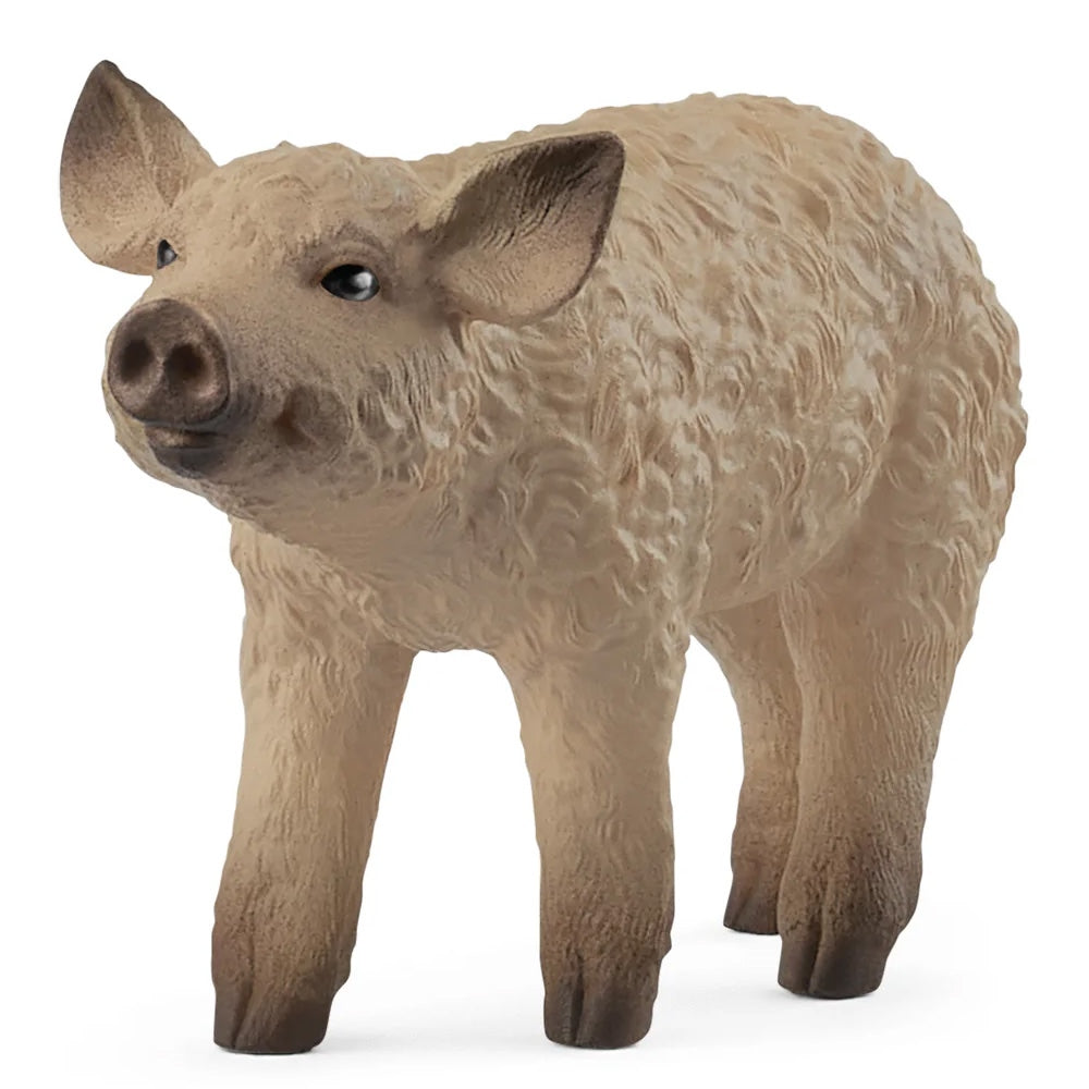 Schleich Mangalica Piglet