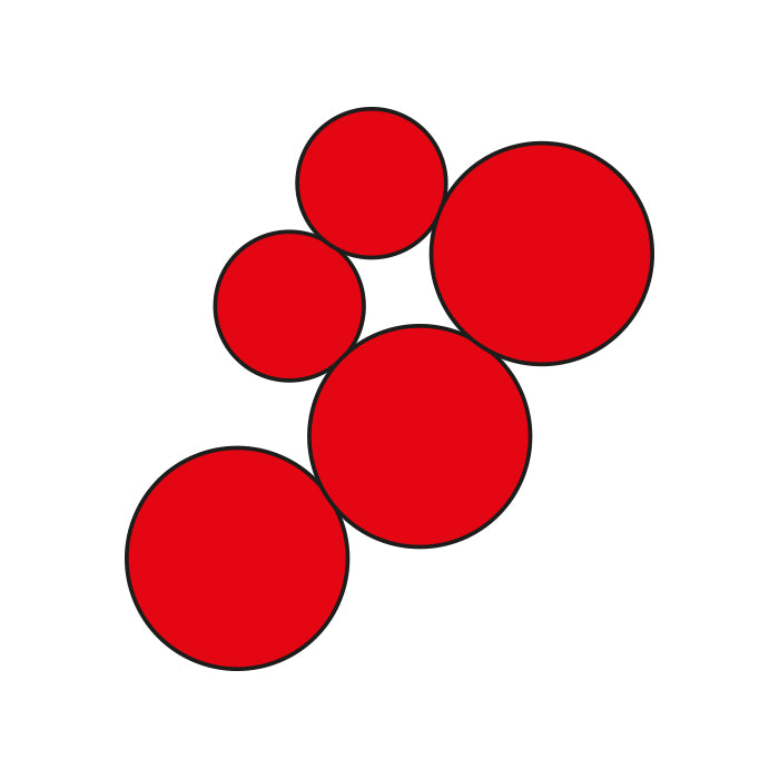 Smart Games IQ Circle