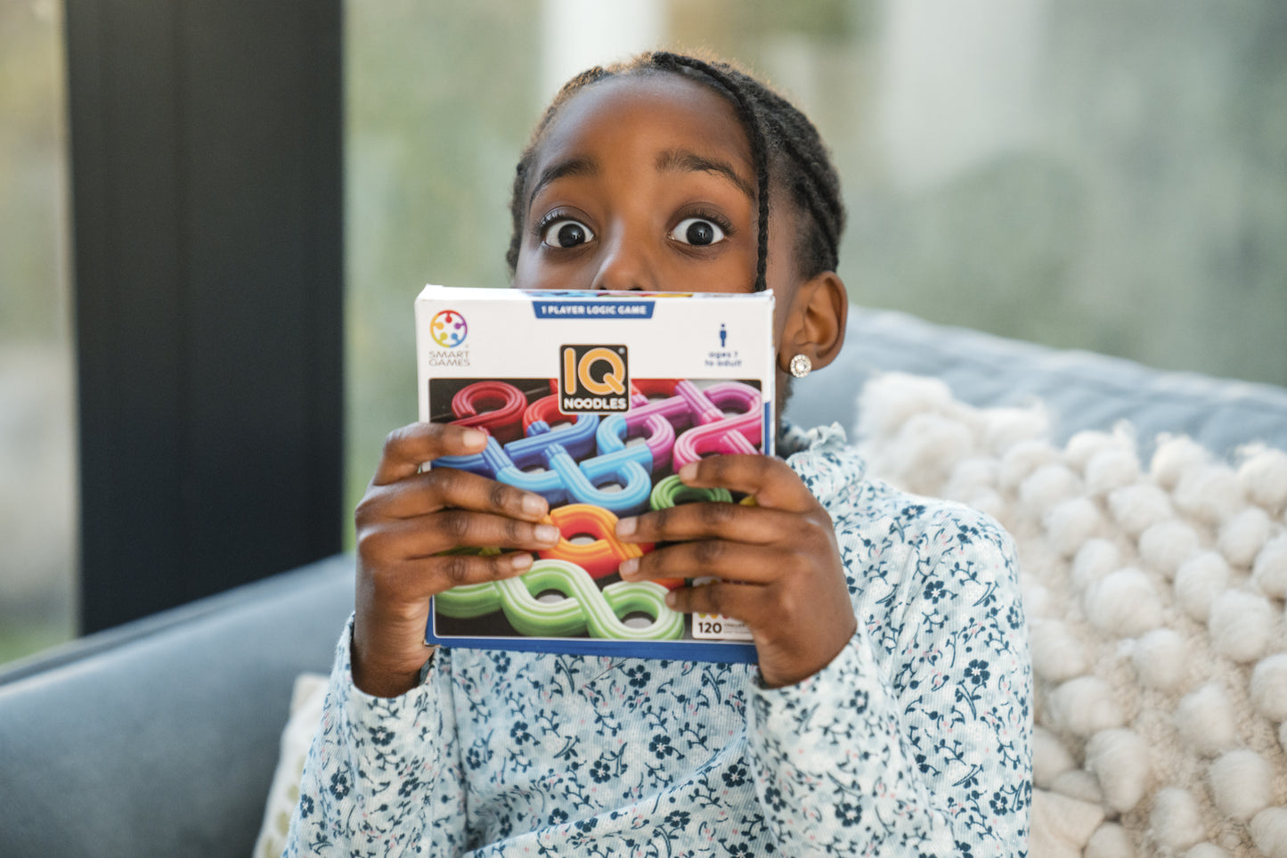 Smart Games IQ Noodles