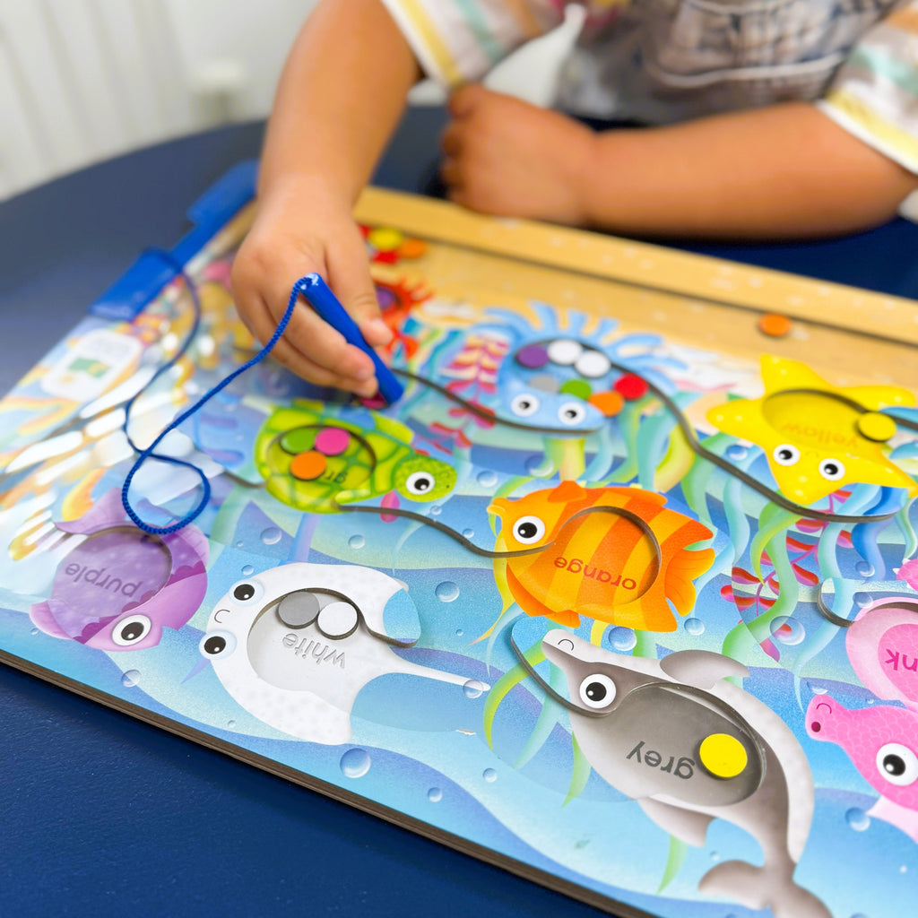 Sort & Learn Magnetic Puzzle Colours