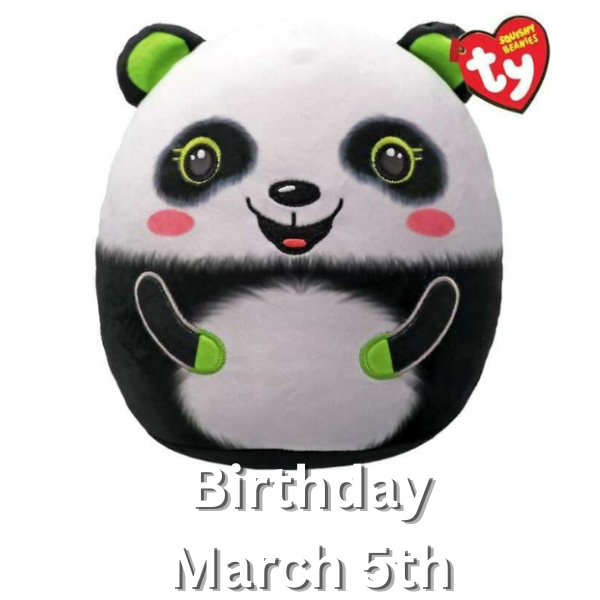 TY Bonsai Panda Squish A Boo 20cm