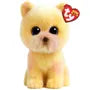 TY Palmer Pomeranian Beanie Boo 15cm