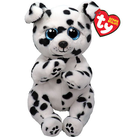 TY Rowdie Dalmation Bellie Regular