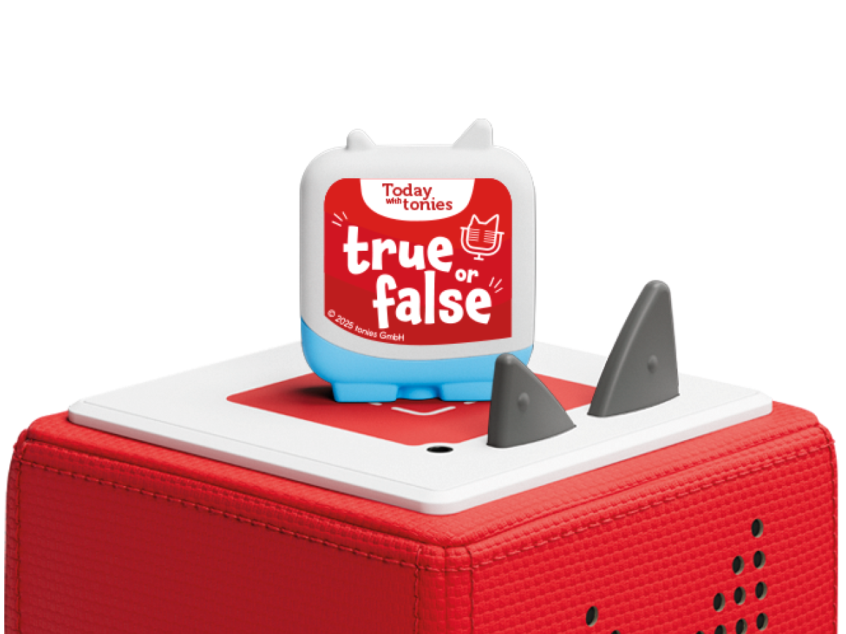Tonies True Or False Pocket Tonie