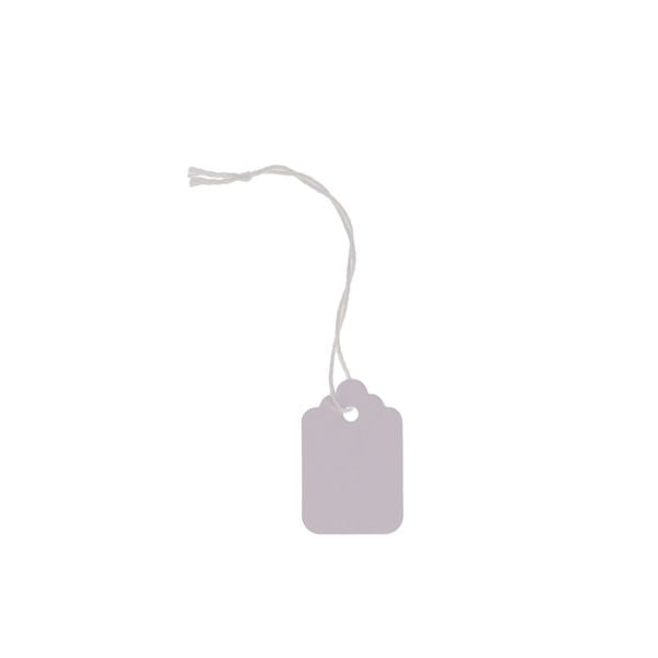 Concept 100pk Strung Tags - 28X43mm