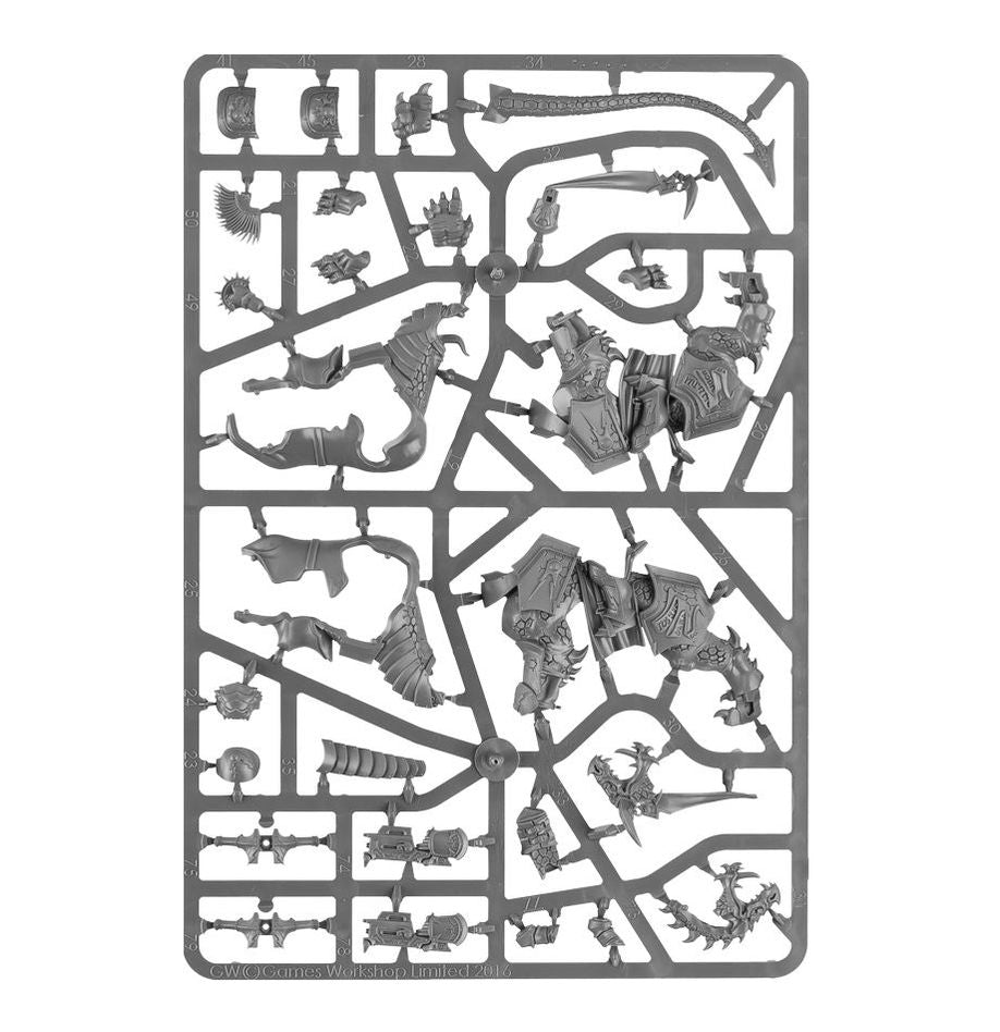 Warhammer Age Of Sigmar Stormcast Eternals Dracothian Guard