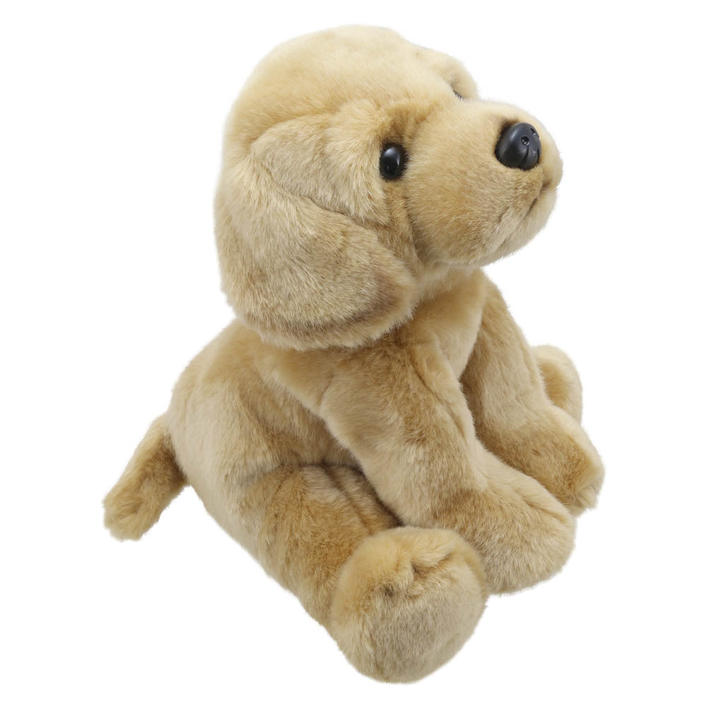 Wilberry Favourites Labrador