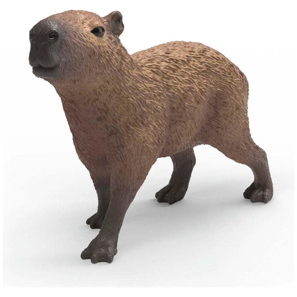 Capybara