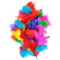 Feathers Bright Assorted Colours 4cm