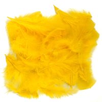 Feathers  Yellow 200pk 7cm