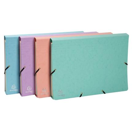 Exacompta 12 Part Expanding File