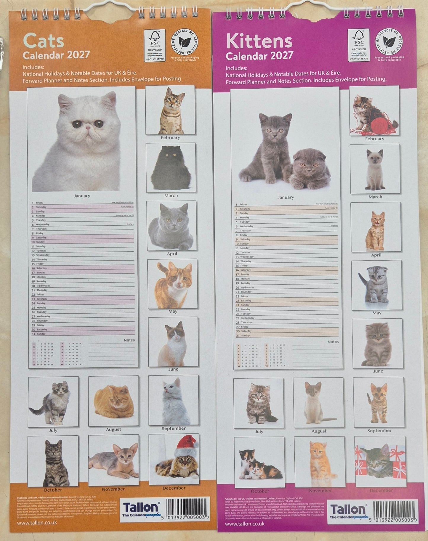 2027 Calendar Cats/Kittens