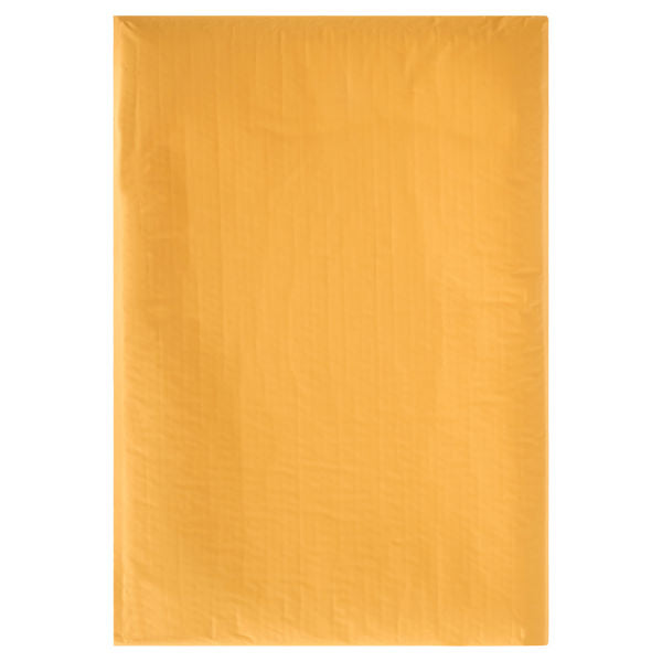 Padded Envelope Size L 470x685mm