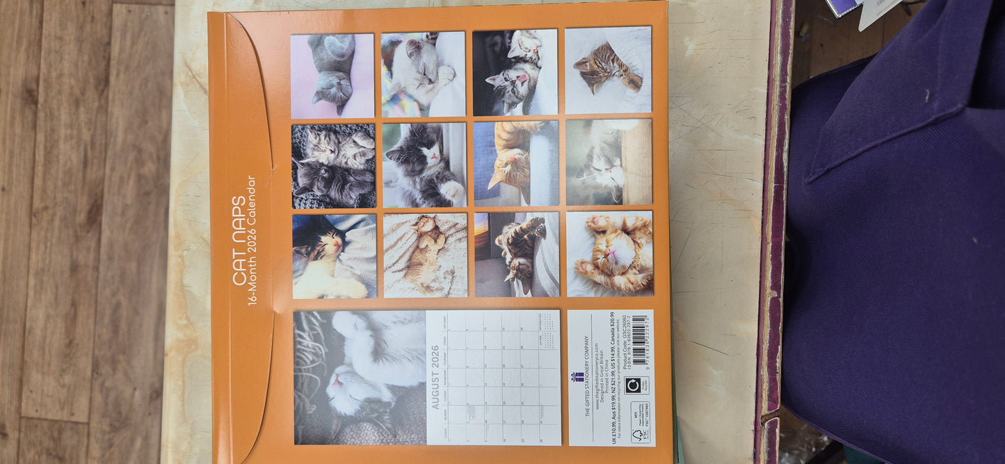2026 Calendar Cat Naps