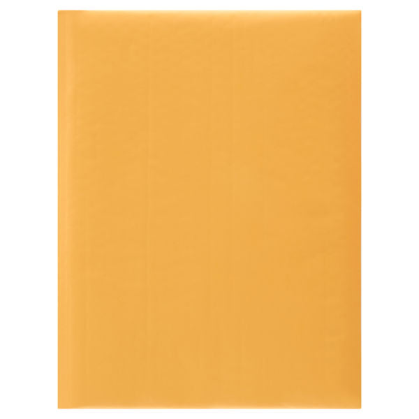 Padded Envelopes Size G