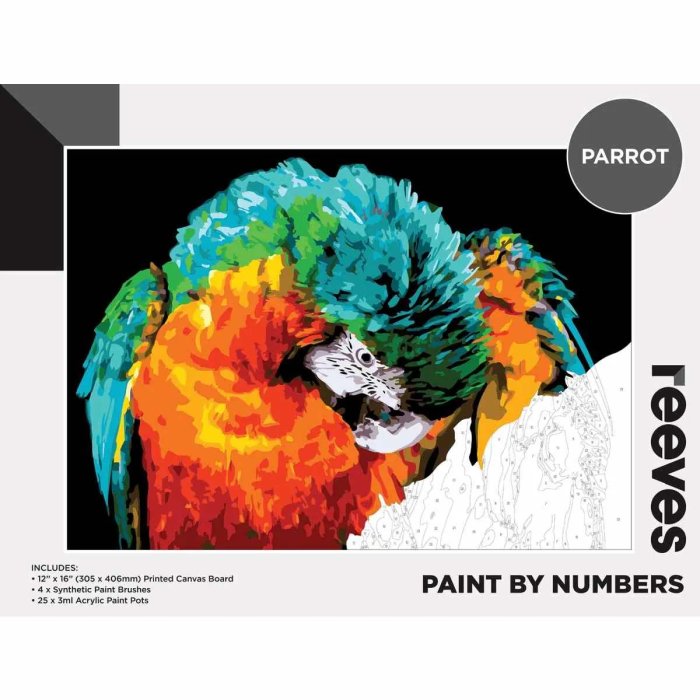 Reeves Paint by Numbers Parrot