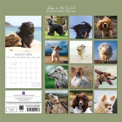 2026 Calendar Dogs In The Wind