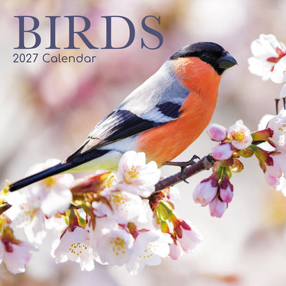 2027 Calendar Birds