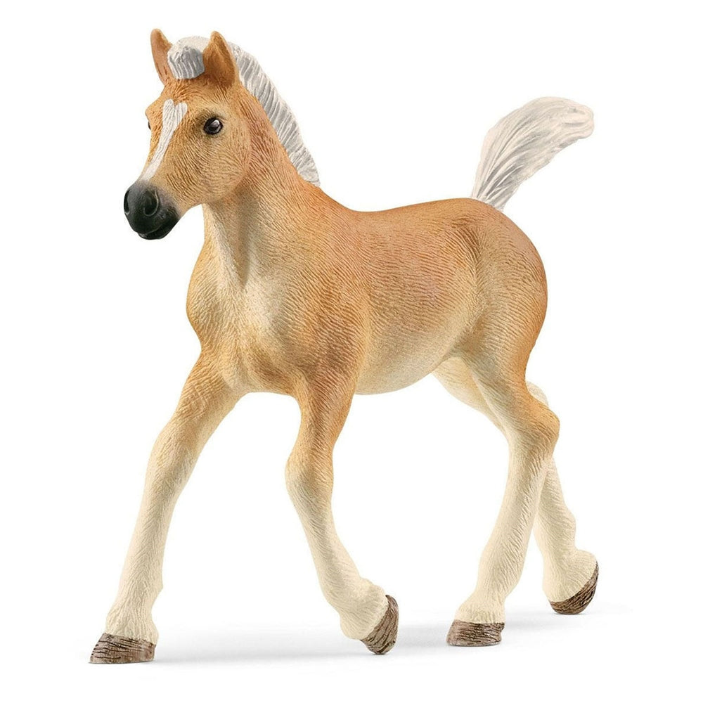 Schleich Haflinger Foal