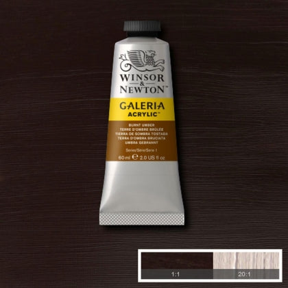 Winsor & Newton Galeria Acrylic 60ml Burnt Umber