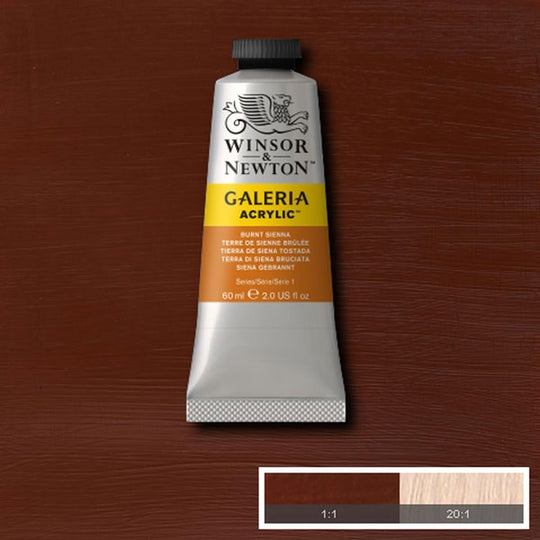 Winsor & Newton Galeria Acrylic 60ml Burnt Sienna