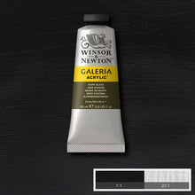 Winsor & Newton Galeria Acrylic 60ml Ivory Black