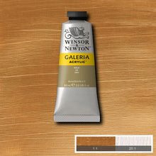 Winsor & Newton Galeria Acrylic 60ml Gold