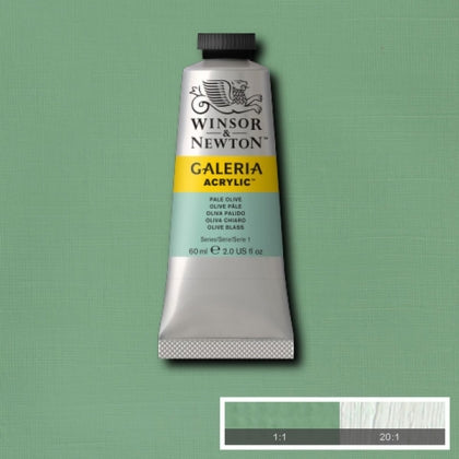 Winsor & Newton Galeria Acrylic 60ml Pale Olive