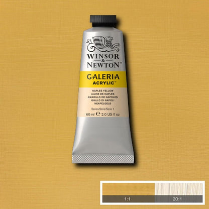 Winsor & Newton Galeria Acrylic 60ml Naples Yellow