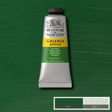 Winsor & Newton Galeria Acrylic 60ml Sap Green