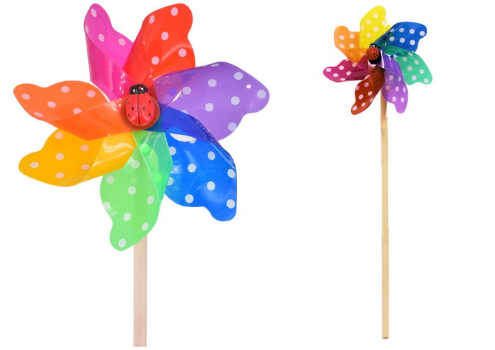 WINDMILL SPOTTED RAINBOW