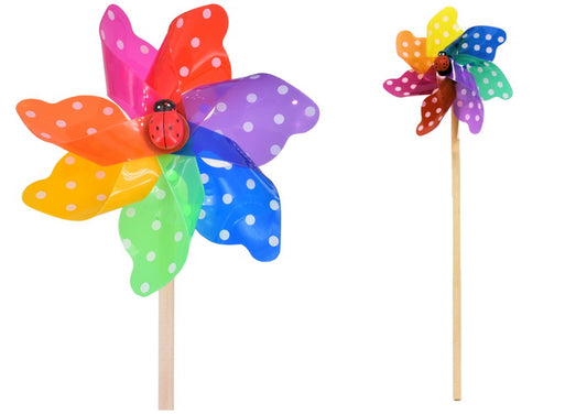WINDMILL SPOTTED RAINBOW