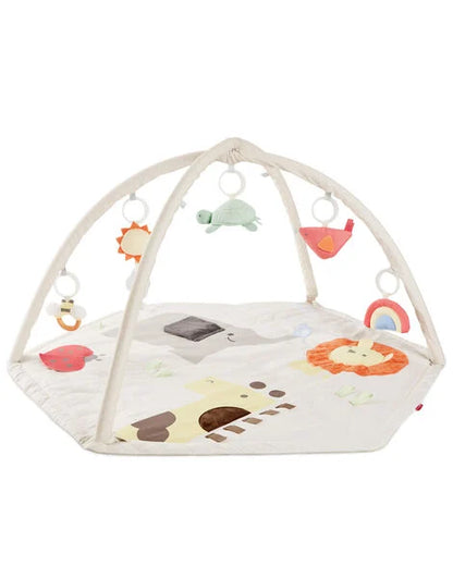 SkipHop Geo Wonders Activity Gym