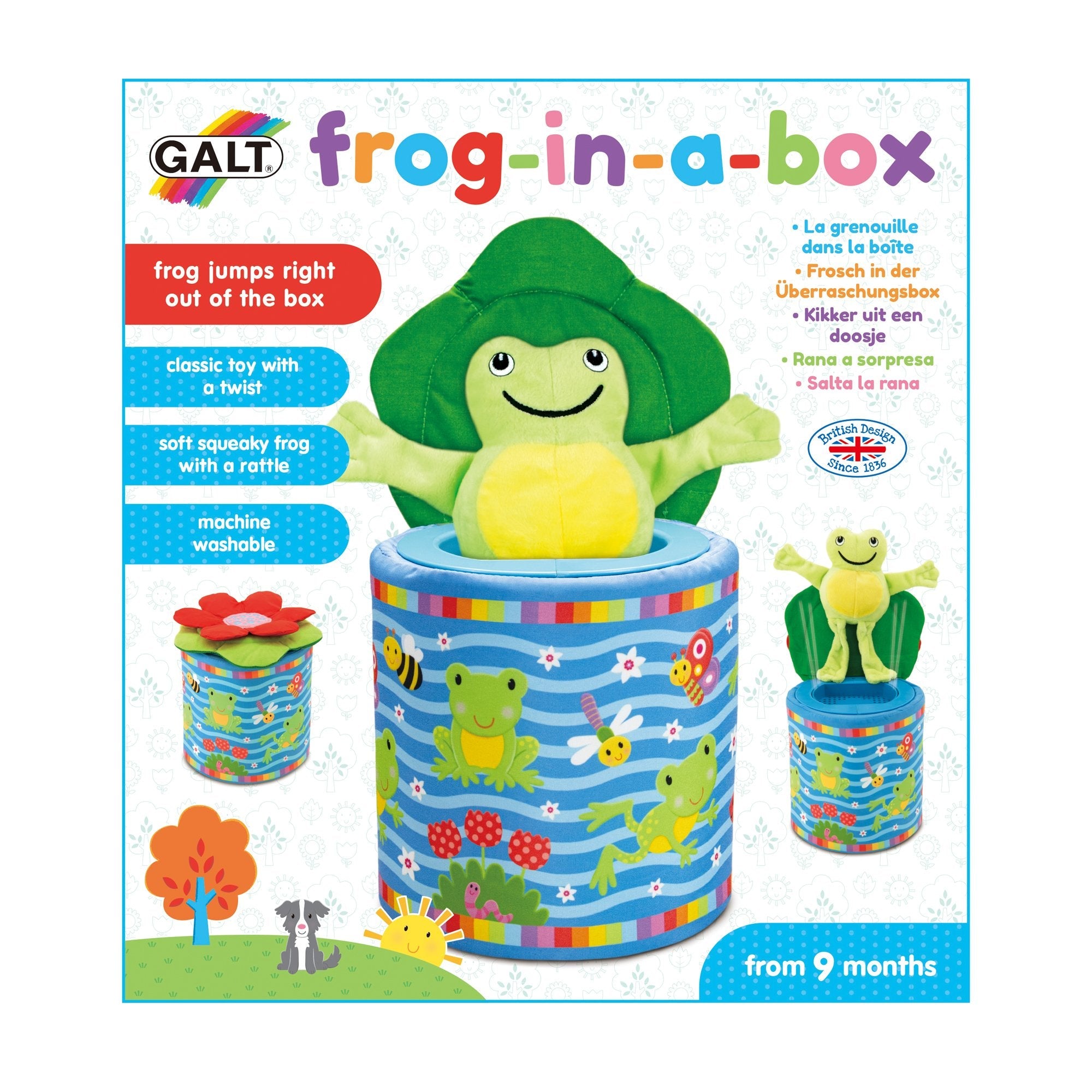 Galt Frog In A Box