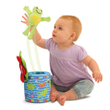 Galt Frog In A Box