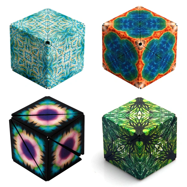 Shashibo Magnetic Puzzle
