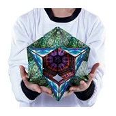 Shashibo Magnetic Puzzle