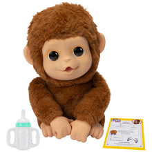 Little Live Pets Mango My Baby Monkey