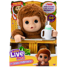 Little Live Pets Mango My Baby Monkey
