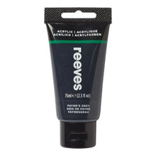 Reeves Acrylic 75ml Paynes Grey